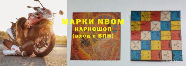 ПСИЛОЦИБИНОВЫЕ ГРИБЫ Абаза