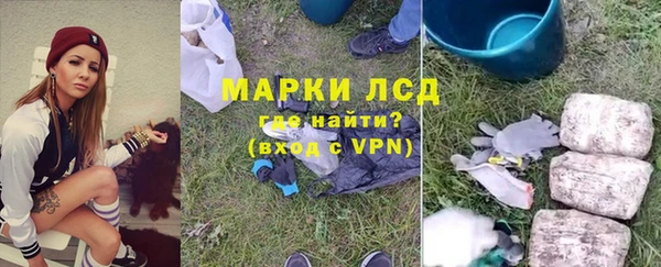 ПСИЛОЦИБИНОВЫЕ ГРИБЫ Абаза