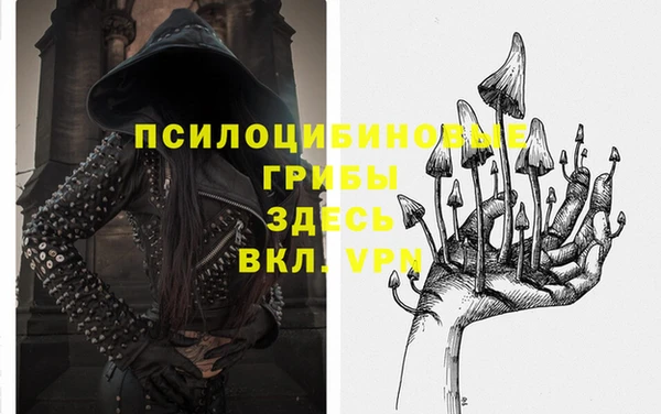 гидра Абинск