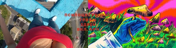 дурь Абдулино